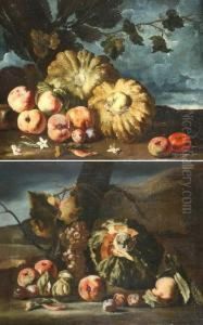 Nature Morte Con Frutta