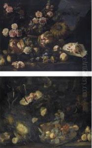 Still Life