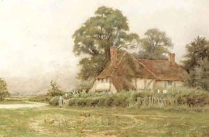 Rural cottage with chickens feeding by Curtius Duassut