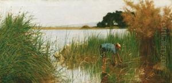 Nel Canneto - view 1