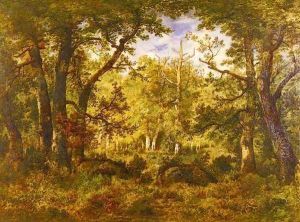 A Sunlit Clearing In The Forest At Fontainebleau