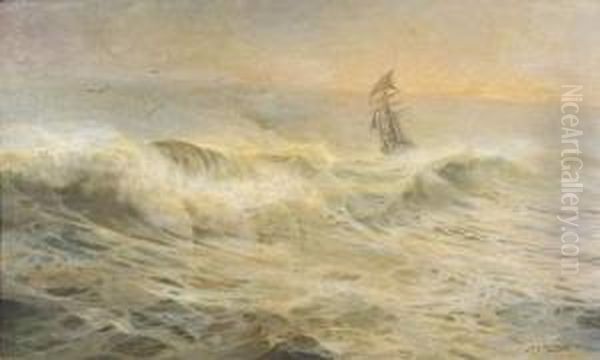 Bateau En Mer. - view 1