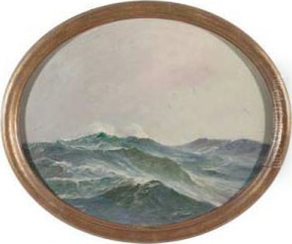 Bewegtes Meer Mit Mowen - view 1