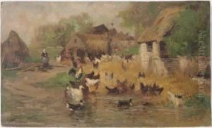 Poules Et Canards Dans Une Cour Deferme