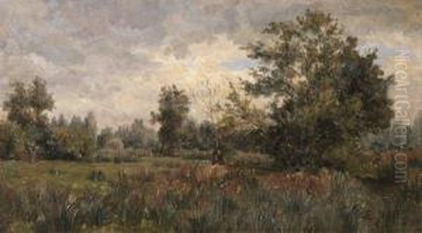 Paysage De Sous-bois - view 1