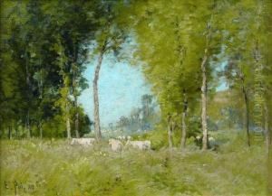 Vaches Dans La Prairie