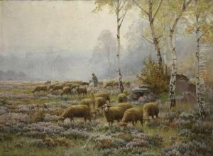 Bergere Et Son Troupeau Dans Un Champ De Bruyere