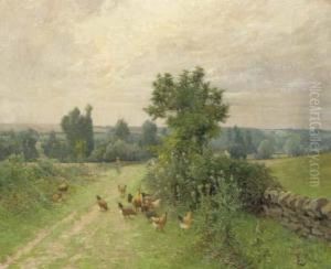 Tending The Hens