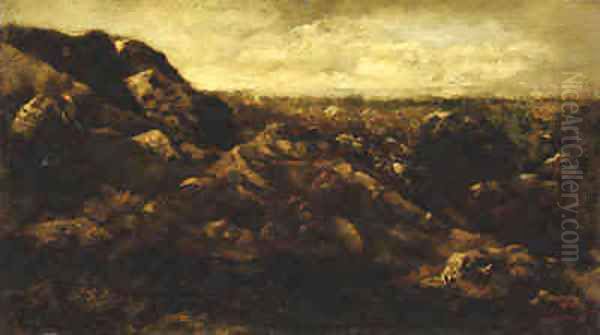 A Rocky Outcrop - view 1