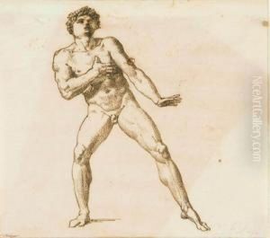 Figura Maschile Nuda Figura Maschile Nuda