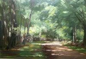 A Shady Road by William Mainwaring Palin