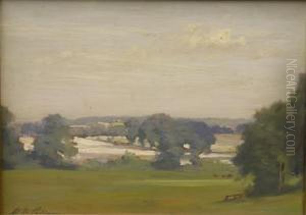 Landscape With Fields Andtrees - view 1
