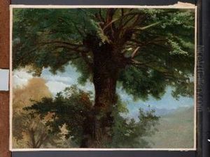 La Grande Quercia by Nicola Palizzi