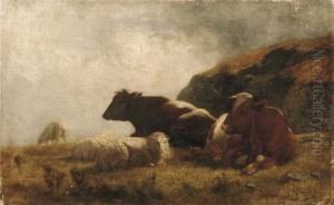 Pascolo Pascolo