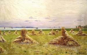 Landschaft Mit Kornhoggen An Der Elbe Bei Dresden