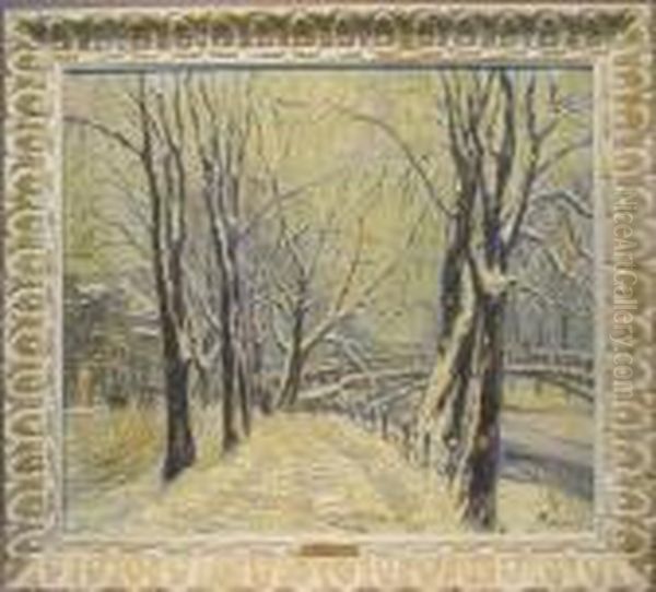 Snow Covered Lane - view 1