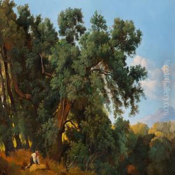 A Man On The Fringes Of The Forest On A Summer Day - view 1