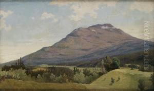 Sommarlandskap Med Fjall (areskutan?) by Gustaf-Wilhelm Palm