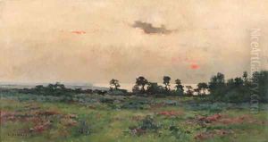 Sunset over the meadow by Pierre-Emmanuel Damoye