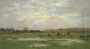 Prairies inondees, Pas de Calais by Pierre-Emmanuel Damoye