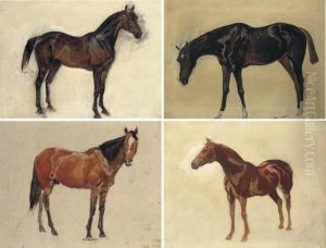 Sketch Of A Dark Bay Horse by James Lynwood Palmer