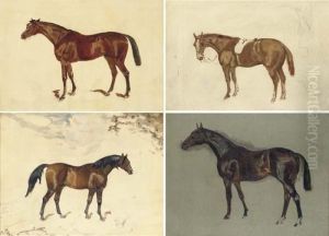 Sketch Of Minoru, A Bay Horse by James Lynwood Palmer