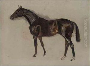 Sketch Of A Dark Brown Horse by James Lynwood Palmer
