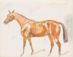 A Sketchbook Of Studies Of Horses by James Lynwood Palmer