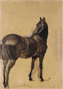 Three Sketches Of Horses Three Sketches Of Horses