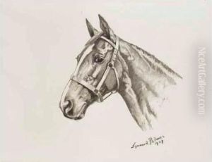 A Horse's Head A Horse's Head