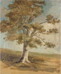 Five Landscape Studies by James Lynwood Palmer