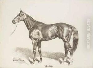 Phar Lap by James Lynwood Palmer
