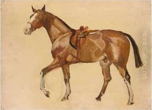 Three Sketches Of Horses