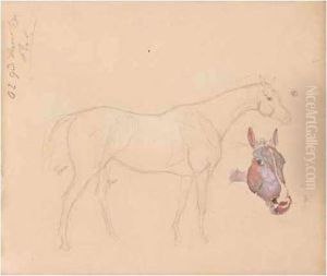 A Sketchbook Of Studies Of Horses by James Lynwood Palmer