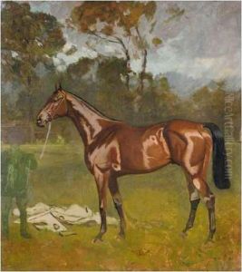 A Bay Horse A Bay Horse