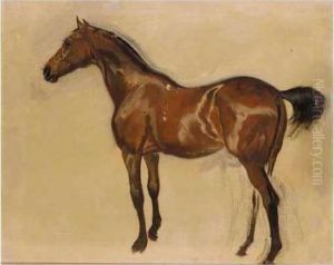 Sketch Of A Brown Horse by James Lynwood Palmer