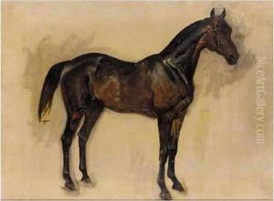 Sketch Of A Dark Brown Horse by James Lynwood Palmer