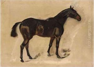 Sketch Of Valour Sketch Of Valour
