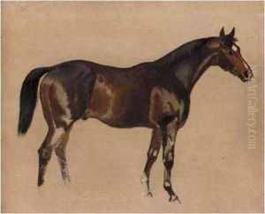 Three Sketches Of Horses Three Sketches Of Horses