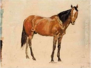 Three Sketches Of Horses Three Sketches Of Horses