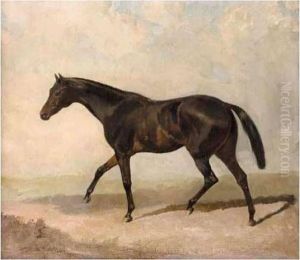 Black Horse Trotting Black Horse Trotting