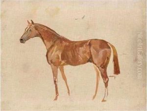 Three Sketches Of Horses Three Sketches Of Horses