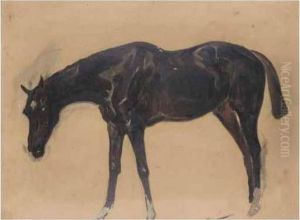 A Dark Brown Horse by James Lynwood Palmer