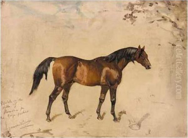 Sketch In The Stable Of Minoru - view 1