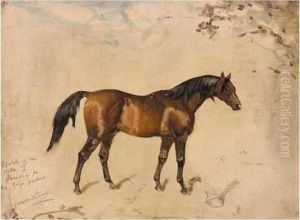 Sketch In The Stable Of Minoru by James Lynwood Palmer