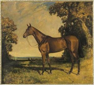 Cheval Dans La Campagne Anglaise Cheval Dans La Campagne Anglaise