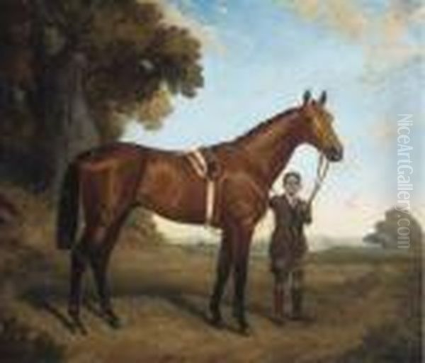A Bay Racehorse Held By A Groom - view 1
