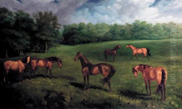 The Duke Of Portland's Stallions At Welbeck Stud - view 1