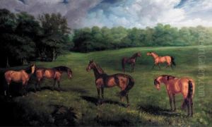 The Duke Of Portland's Stallions At Welbeck Stud