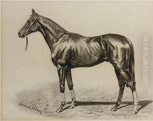 Cyllene by James Lynwood Palmer